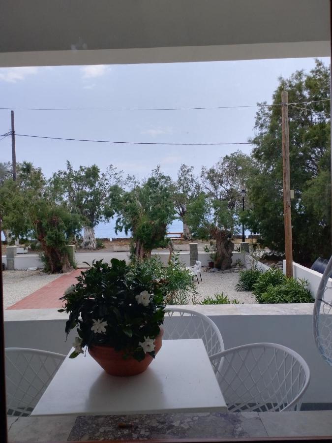 Hotel Zorbas Sougia Exterior foto